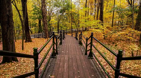 5 Killer Content Marketing Opportunities Banner