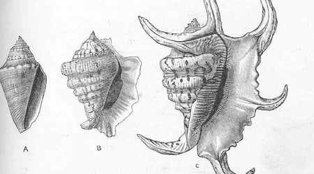 Inbound Marketing Kpis