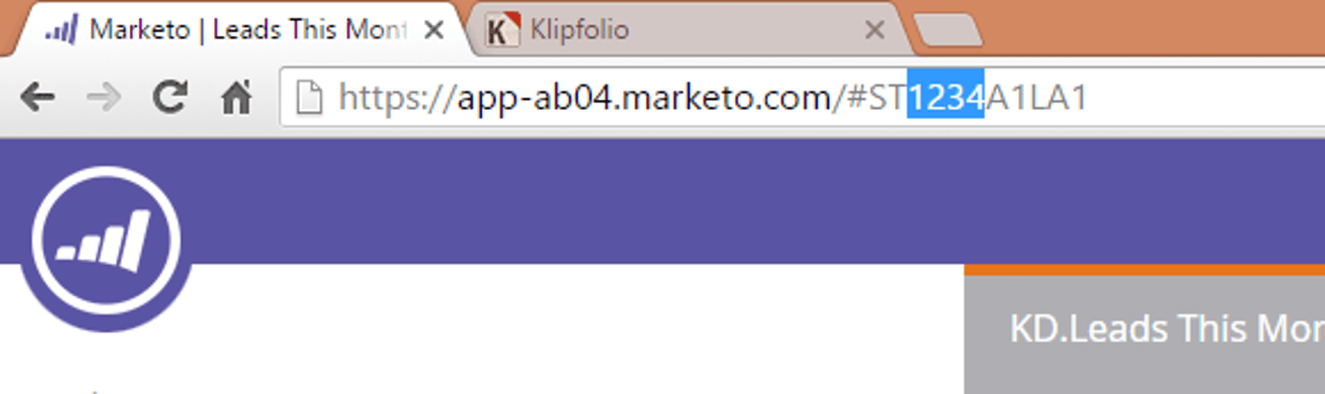 Marketo Unique ID Static List