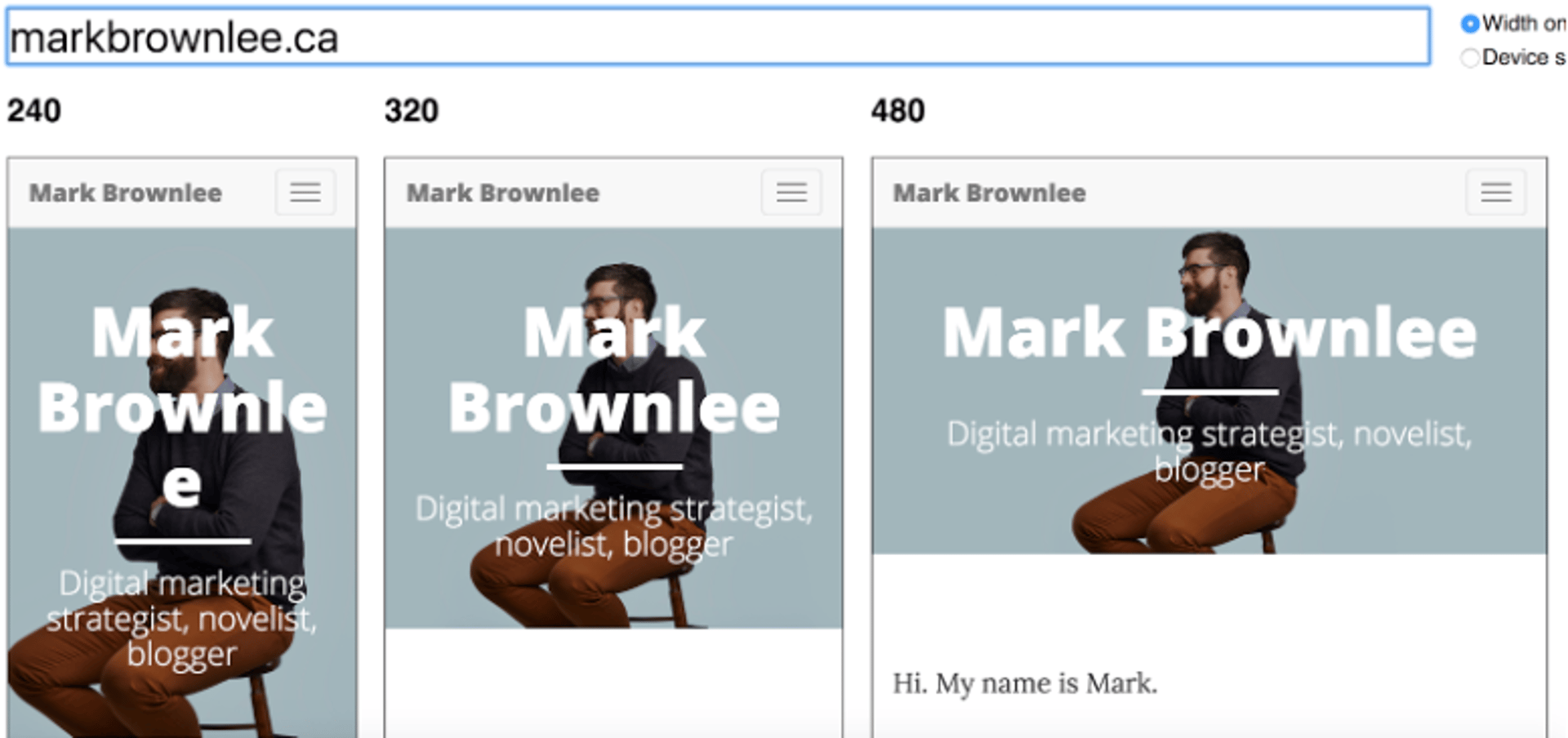 Test Mobile Responsiveness